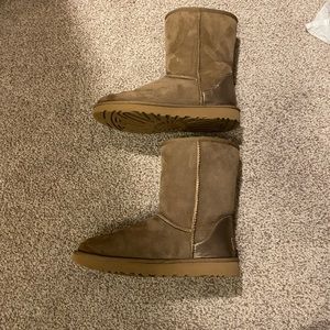 Ugg classic short